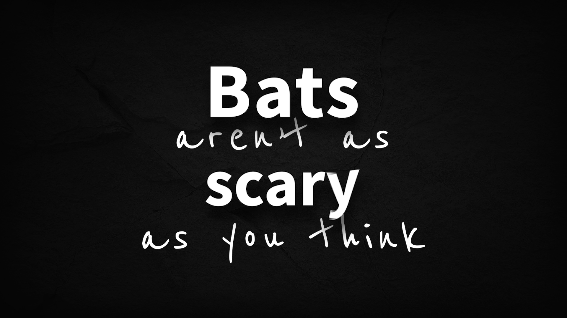 bats aren't as scary as you think